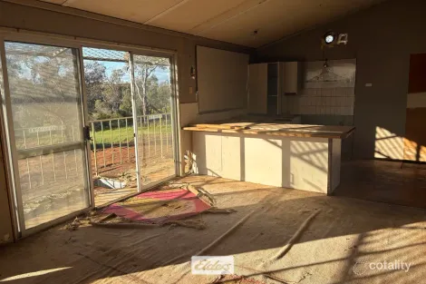 100 Malaya Rd, Robinvale, VIC 3549