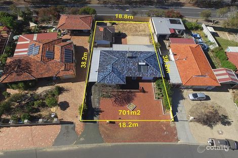 Property photo of 53 Seaflower Crescent Craigie WA 6025