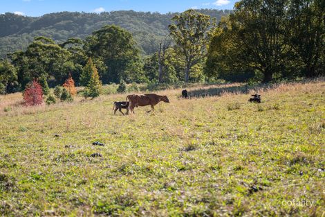 218 North Bonville Rd, Bonville, NSW 2450