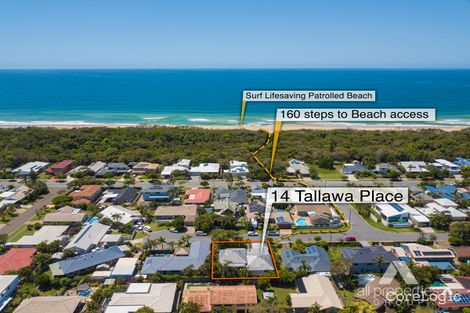 Property photo of 14 Tallawa Place Wurtulla QLD 4575