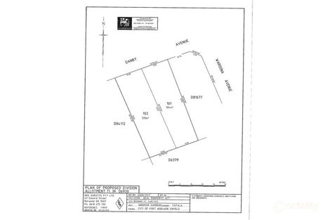 Property photo of 5 Danby Avenue Windsor Gardens SA 5087