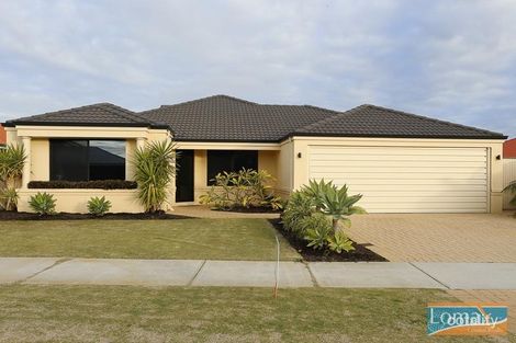 4 Banbury Way, Butler, WA 6036
