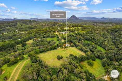 Property photo of 145 Blanckensee Road Black Mountain QLD 4563