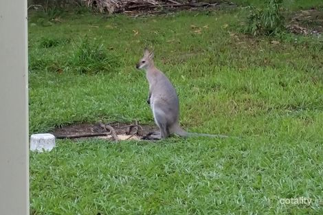 Property photo of 760 Bellthorpe Range Road Stanmore QLD 4514