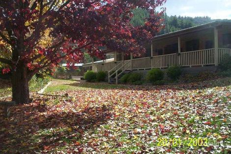 Property photo of 8 Showers Avenue Bright VIC 3741