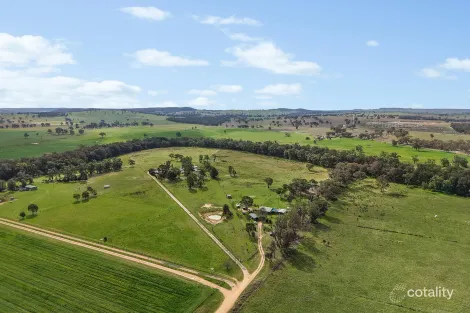 125 HOLLEYS LANE, GULGONG, NSW 2852