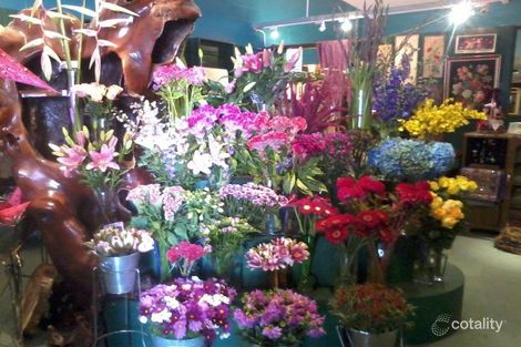 10 Balnarring Beach Rd, Balnarring, VIC 3926