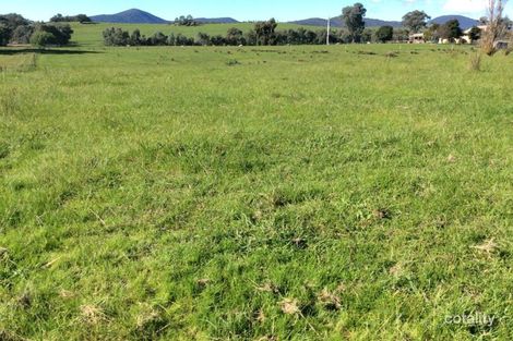 Property photo of 1326 Murray River Road Talgarno VIC 3691