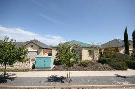 55 Penong Ave, Camden Park, SA 5038