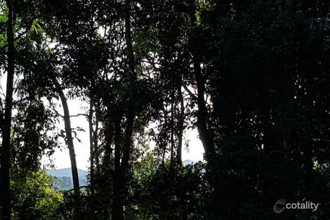 Property photo of 58 Williamson Drive Kuranda QLD 4881