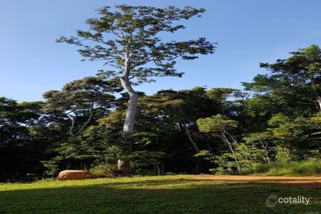 Property photo of 58 Williamson Drive Kuranda QLD 4881