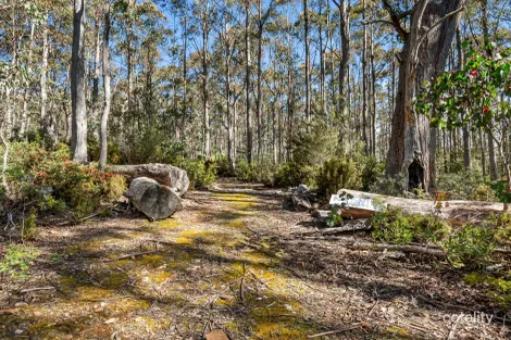 213 Jefferys Trk, Lachlan, TAS 7140
