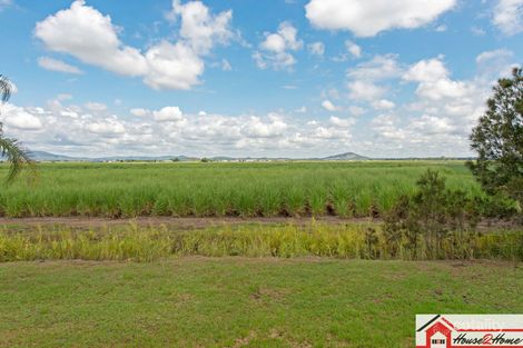 Property photo of 73 Cooks Road Woongoolba QLD 4207