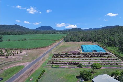 Lot 440 Geeberga Buthurra Rd, Mount Ossa, QLD 4741