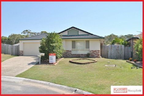 24 Radiata Ct, Morayfield, QLD 4506