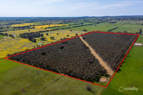 663 Carraragarmungee Estate Rd, Byawatha, VIC 3678