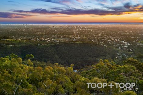 Property photo of 86 Woodland Way Teringie SA 5072