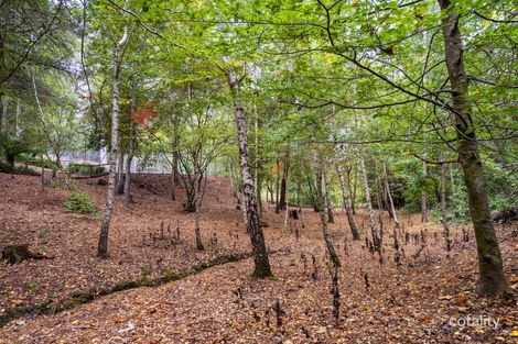 Property photo of 20 Yacka Road Aldgate SA 5154