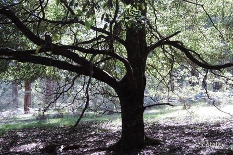 220 Fergusons Lane, Kalimna West, VIC 3909