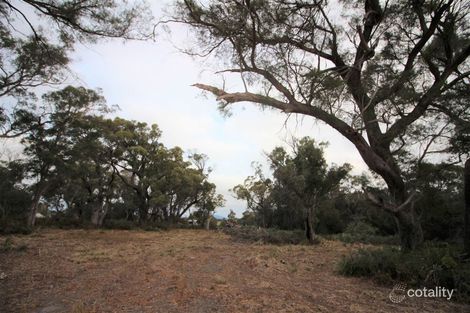 1 Neville Dr, Bridport, TAS 7262