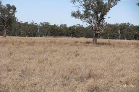 Property photo of 3173B Wambianna Road Warren NSW 2824