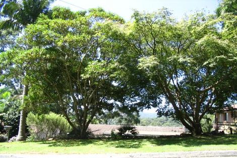 28 Joppa St, Niagara Park, NSW 2250