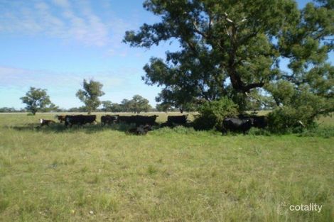 Urangeline Creek Rd, Osborne, NSW 2656