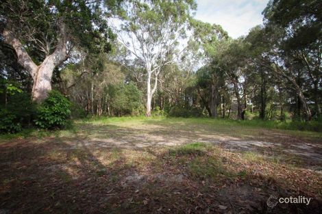 Property photo of 31 Llewellyn Street Amity QLD 4183
