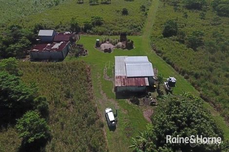 Property photo of 110 Cape Tribulation Road Lower Daintree QLD 4873