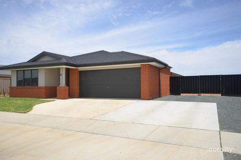 Property photo of 7 Cochrane Street Echuca VIC 3564
