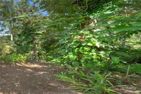 Property photo of 16 Cubberla Street Fig Tree Pocket QLD 4069