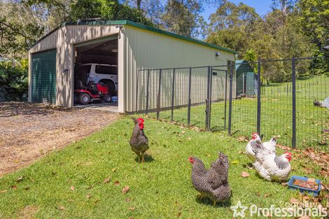 Property photo of 17-19 Curio Court Tamborine QLD 4270