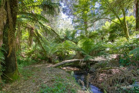 Property photo of 4 Tymon Road Cockatoo VIC 3781