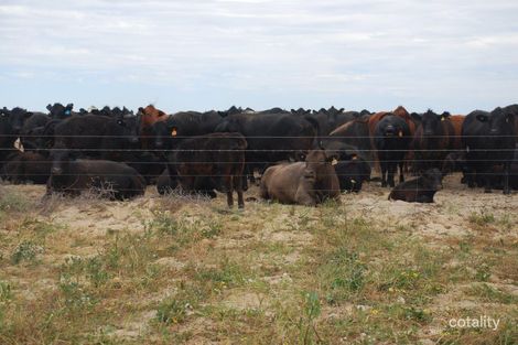 1629 Launer Rd, Eganu, WA 6515