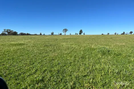 714 Piambra Rd, Binnaway, NSW 2395