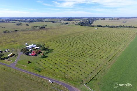 390 Bundocks Rd, Casino, NSW 2470