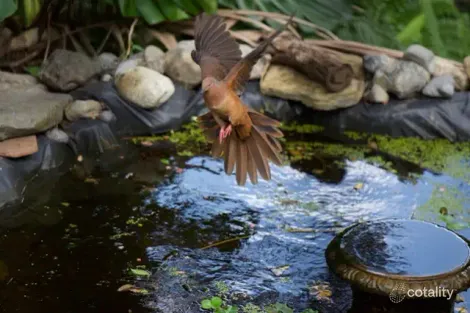 Property photo of 290 Roses Road Gleniffer NSW 2454