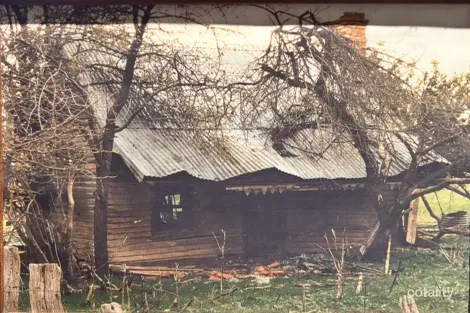 25 Cricket St, Clunes, VIC 3370