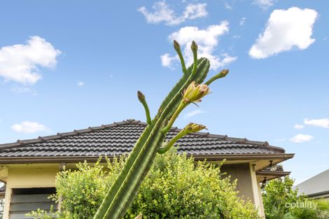 Property photo of 19 Milne Street Ryde NSW 2112