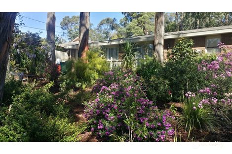 Property photo of 2 Rita Street Upwey VIC 3158