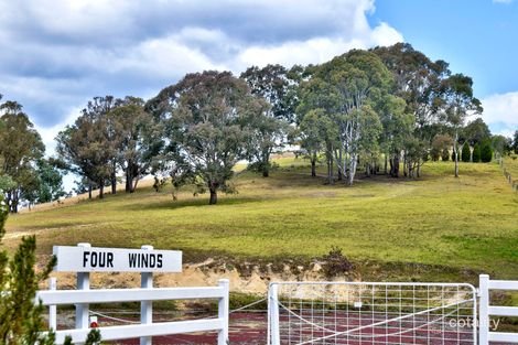 Property photo of 1214 Rivertree Road Undercliffe NSW 4380