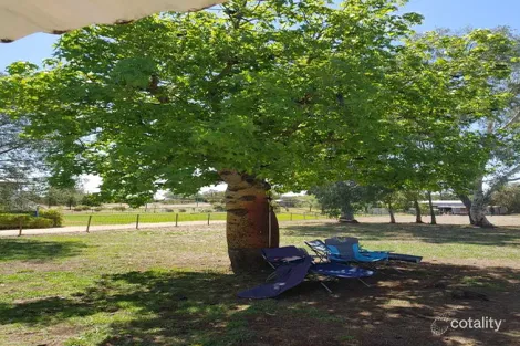 Property photo of 29 Albert Street Tambo QLD 4478