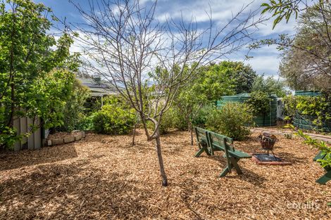 Property photo of 57 Blyth Street Clearview SA 5085