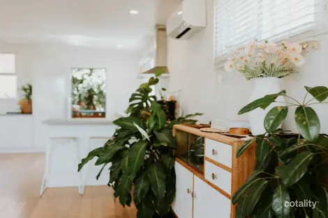 Property photo of 4 Murray Street St Helens TAS 7216