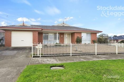 29 Nash Ave, Drysdale, VIC 3222