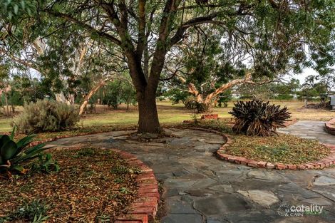 Property photo of 31 Falkenberg Road Nuriootpa SA 5355