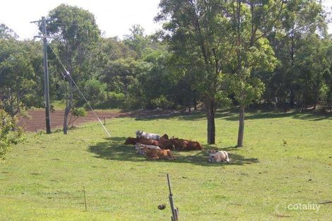 Property photo of 193 Kinbacher Road Bidwill QLD 4650