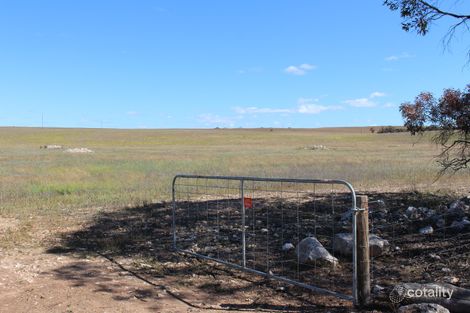 Property photo of 535 Burbidge Road Ettrick SA 5253