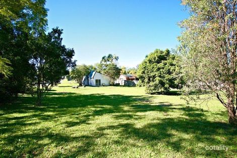 Property photo of 53 Allamanda Drive Daisy Hill QLD 4127