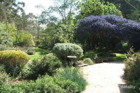 Property photo of 11 Aroona Drive Buxton VIC 3711